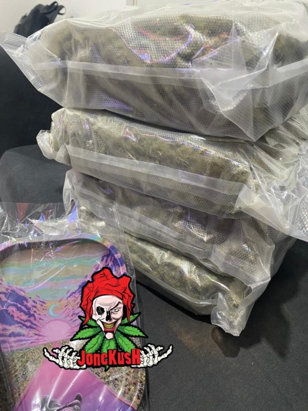 Kilos Indoor calidad TOP
